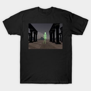 The Virtual Visitor T-Shirt